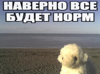 Sticker from копим свагу