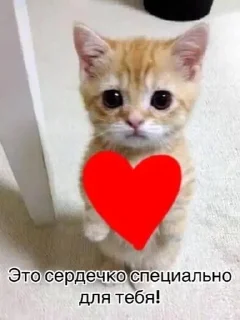 🌟 emoji Солнышко Telegram sticker 8 of 22