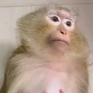 Sticker from для тебя и для меня