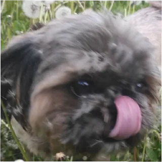 😄 emoji Святой Telegram sticker 15 of 47