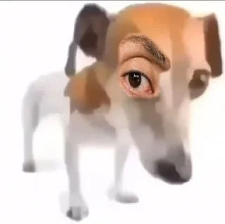 🤨 emoji tg: @xxleq, накидайте варианты для стикеров Telegram sticker 13 of 120