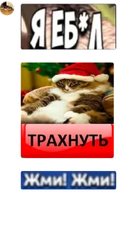 🤚 emoji #FREEDUROV 🐈‍⬛ 🐈- долина мер pack by @QuotLyBot Telegram sticker 15 of 105