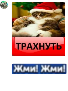 👩‍🤝‍👨 emoji #FREEDUROV 🐈‍⬛ 🐈- долина мер pack by @QuotLyBot Telegram sticker 4 of 105
