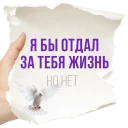 👌 emoji Honest Notes @stickersb2b Telegram sticker 7 of 20