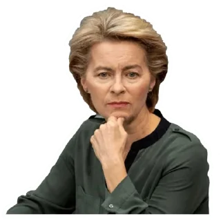 🤔 emoji European Union Telegram sticker 8 of 44