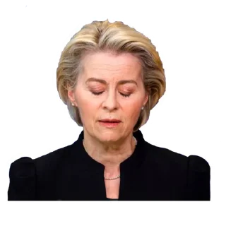 😔 emoji European Union Telegram sticker 16 of 44