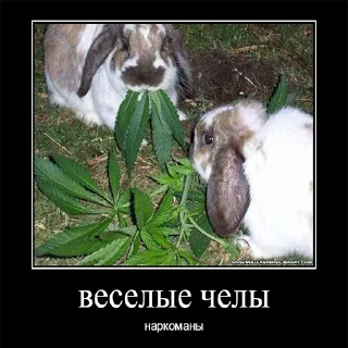 🤩 emoji Чел... Telegram sticker 16 of 20