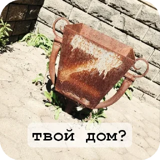 👍 emoji Хз, моменты жизни Telegram sticker 14 of 71