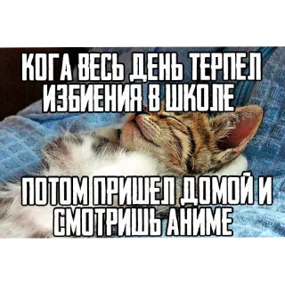 Sticker from Чиназес