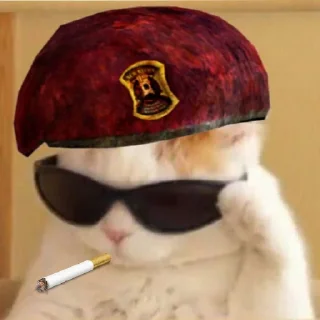 💂‍♀️ emoji MEMNAYA PAPKA Telegram sticker 6 of 19