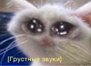 😭 emoji Мемы Мемы Telegram sticker 22 of 29