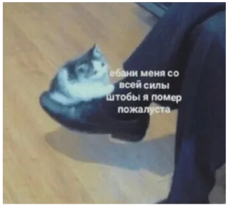 👞 emoji сборная солянка Telegram sticker 14 of 53
