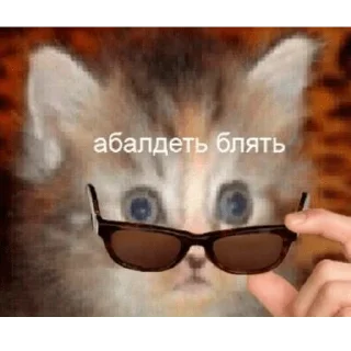 🙄 emoji жизненно важно Telegram sticker 11 of 92
