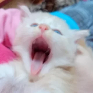 😵 emoji ХЕЛП!!🆘🆘🆘 Telegram sticker 24 of 64