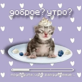 🌅 emoji Впервые т34 видят Telegram sticker 3 of 120