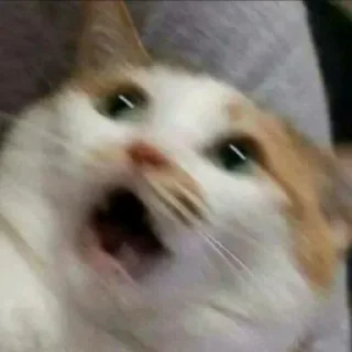😵 emoji Работай негр, солнце ещё высоко Telegram sticker 11 of 91