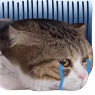 😭 emoji TRENDING STICKERS - BY: @ITT1HAD Telegram sticker 21 of 95