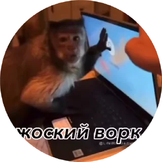 🌟 emoji Больше стиков: @stickers_tg_sex Telegram sticker 19 of 72