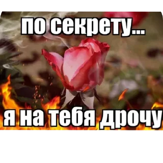 ❤ emoji Владос босс Telegram sticker 1 of 63