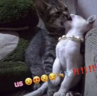💗 emoji ваша няшка умерла Telegram sticker 19 of 99