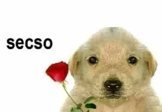❤️ emoji слей — @stckrRobot Telegram sticker 24 of 78