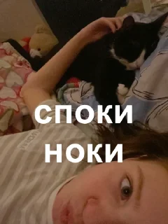 🥱 emoji я звезда а ты пизда Telegram sticker 5 of 62