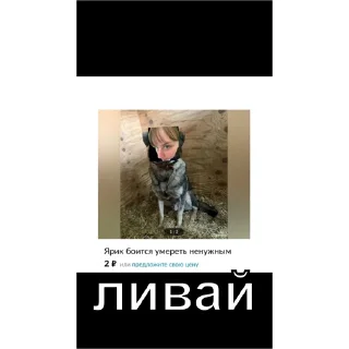 😡 emoji я звезда а ты пизда Telegram sticker 15 of 62