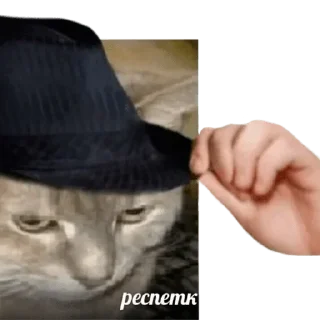 😎 emoji Больше стиков тут: @stikery4 Telegram sticker 17 of 120
