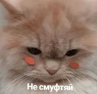 🥰 emoji Стикеры👉 @stikeru7777 Telegram sticker 24 of 120