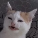 😦 emoji Твои стикеры — @stckrRobot Telegram sticker 5 of 89