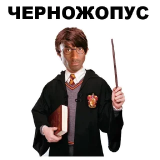 😹 emoji Стики из @Anonymnyi_chat_bot Telegram sticker 22 of 57