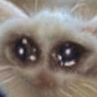 🥺 emoji Стики 9632 из @Anonymnyi_chat_bot Telegram sticker 16 of 120