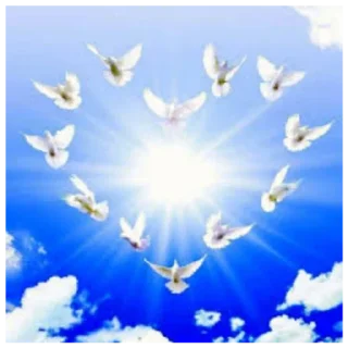 🕊️ emoji Голуби от @stariydedsrebenkom Telegram sticker 6 of 14