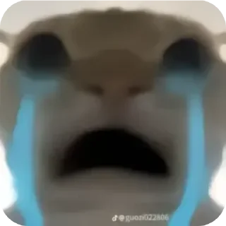 🤲 emoji крутилкивешаалки4473 Telegram sticker 11 of 35