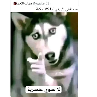 🤣 emoji مصطفى  @irenum Telegram sticker 23 of 30