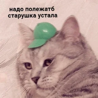 🥱 emoji лучшие стикеры Telegram sticker 7 of 92