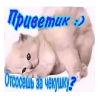 💗 emoji Секс Telegram sticker 20 of 26
