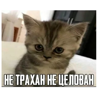 👋 emoji Секс Telegram sticker 15 of 26