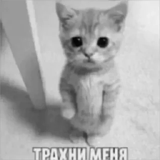 🥰 emoji смоки и смоки Telegram sticker 7 of 9