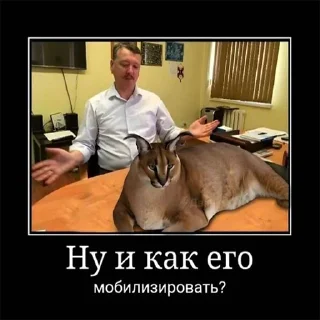 🧐 emoji Стрелков И. И. by andrewlpt Telegram sticker 24 of 67