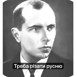 🫥 emoji Степан бандера Telegram sticker 12 of 13