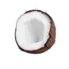🥥 emoji 𝅦 𝅄 ๑๑💐ʿ ִ𔓕̸ִby Sasha 𝆭 ࣪ʿ ִ🌷𝅄  ۫ 𔘓 .ִ ➡️ @Ctikerubot Telegram sticker 5 of 80