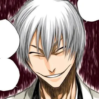 Sticker from Ichimaru Gin
@oneday_19days