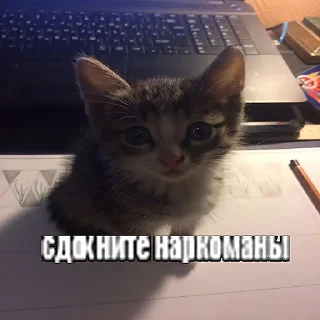 😊 emoji сиськи Telegram sticker 15 of 18