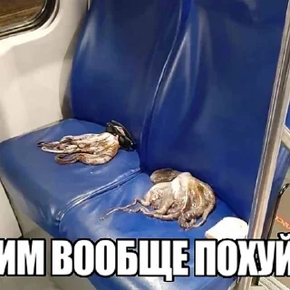 😁 emoji сиськи Telegram sticker 16 of 18