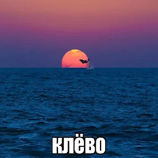 🐋 emoji сиськи Telegram sticker 8 of 18
