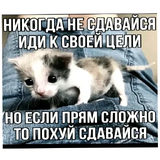 Sticker from Блядота