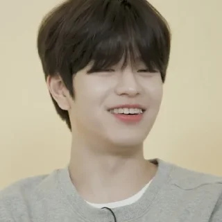 🐾 emoji seungmin @stickers_fr_lana Telegram sticker 3 of 30