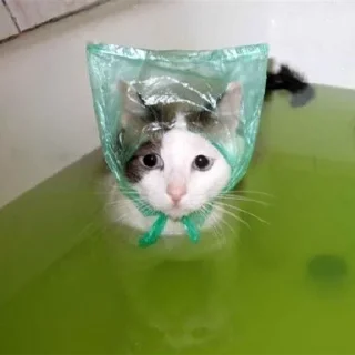 Sticker from Video Favorite stickers