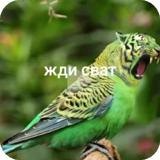 🫥 emoji hahahah Telegram sticker 15 of 46